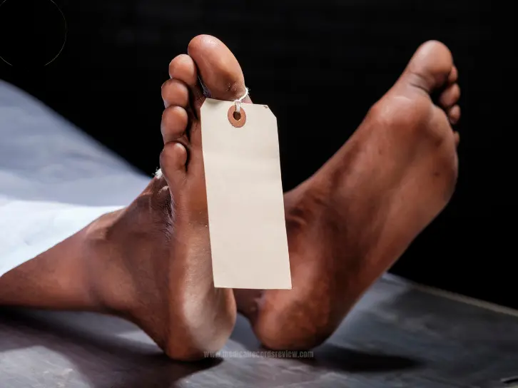 Constructing Timelines for Wrongful Death Cases: The Ultimate Guide for 2024