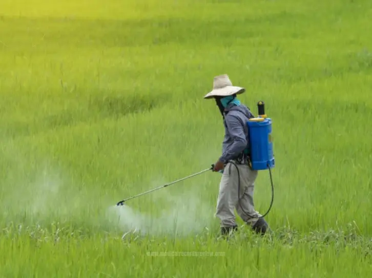 Paraquat Lawsuits: Medical Insights for Attorneys in 2024